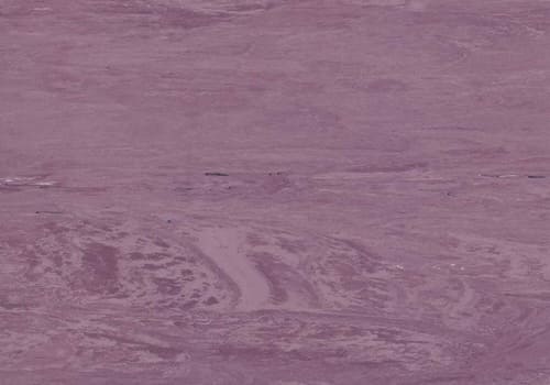 2026 Purple