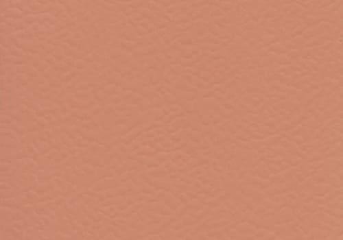 6146 CORAL