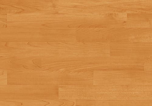 6379 MAPLE DESERT