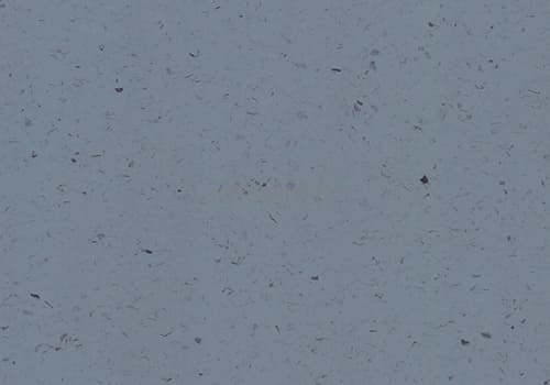SMU 4223